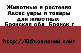 Животные и растения Аксесcуары и товары для животных. Брянская обл.,Брянск г.